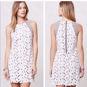 Anthropologie shift dress